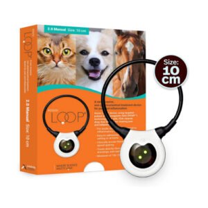 Assisi LOOP®10cm (tPEMF)